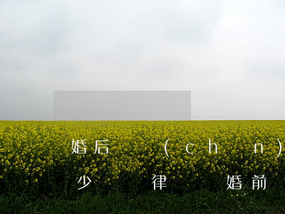 婚后財產(chǎn)協(xié)議要多少錢(請律師寫婚前財產(chǎn)協(xié)議多少錢)