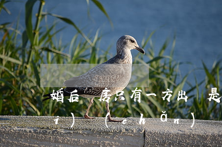 婚后買房只有一方出錢是否是共同財(cái)產(chǎn)