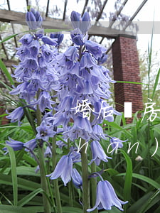 婚后買房屬于夫妻共同財(cái)產(chǎn)嗎