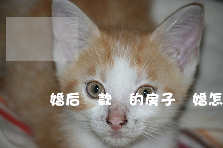 婚后貸款買的房子離婚怎么分配