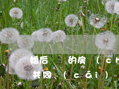 婚后購買的房產(chǎn)，不一定是夫妻共同財(cái)產(chǎn)
