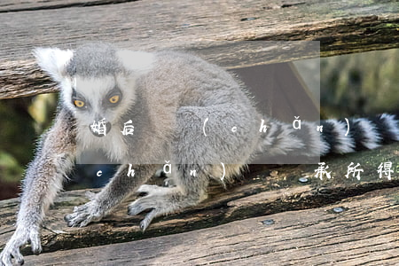 婚后遺產(chǎn)繼承屬于共同財產(chǎn)嗎(繼承所得的財產(chǎn)屬于夫妻共同財產(chǎn)嗎)