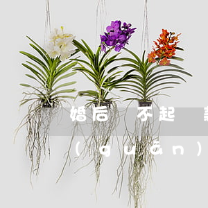 婚后還不起貸款-婚后不還貸房子跟我有關(guān)系嗎