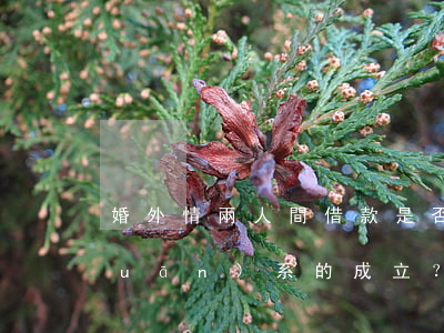 婚外情兩人間借款是否影響民間借貸關(guān)系的成立？