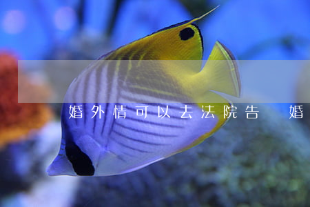 婚外情可以去法院告嗎(婚外情如何告對方)