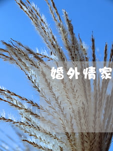婚外情家暴離婚怎么辦