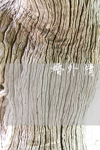 婚外情怎么挽回(挽回婚外情女人的正確做法)