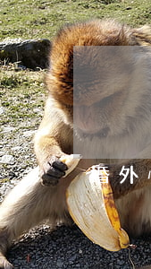 婚外情懷孕了該怎么處理?