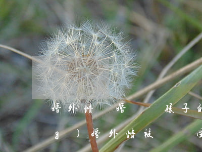 婚外情離婚拋棄孩子的女人下場(chǎng)(婚外情被拋棄受傷的女人)