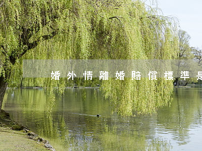婚外情離婚賠償標準是什么