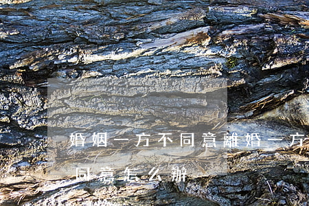 婚姻一方不同意離婚(一方同意離婚另一方不同意怎么辦)