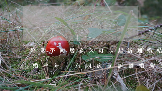 婚姻不同居多久可以起訴離婚(結(jié)婚半年沒有同房起訴離婚會怎么判)