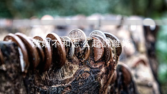 婚姻不和怎么起訴離婚