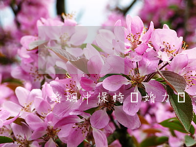 婚姻中保持離婚力(關于婚姻離婚法則)