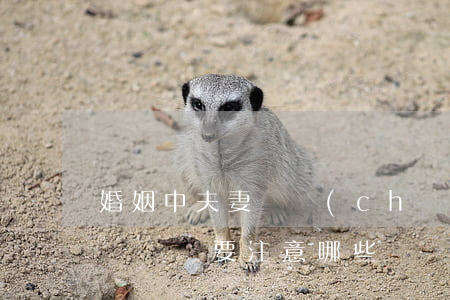 婚姻中夫妻財產(chǎn)協(xié)議應該要注意哪些問題