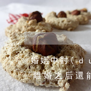 婚姻中對(duì)方出軌可以起訴離婚嗎(離婚之后還能起訴對(duì)方出軌嗎)