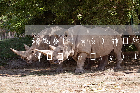 婚姻事務(wù)律師所(專業(yè)婚姻律師網(wǎng)上咨詢)
