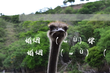 婚姻債務(wù)律師訴訟費(fèi)用(婚姻債務(wù)問(wèn)題起訴都需要提供哪些癥狀)