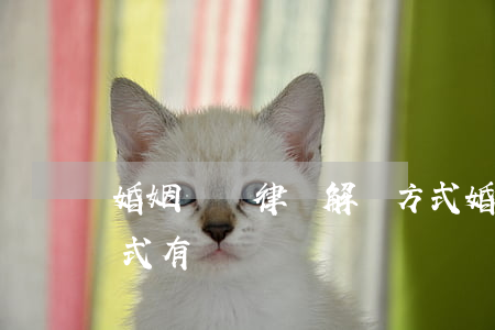 婚姻債務律師解決方式(婚姻債務律師解決方式有幾種)