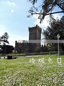 婚姻免費(fèi)律師(婚姻律師電話咨詢)