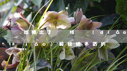 婚姻出了問題找誰調(diào)解(調(diào)解婚姻矛盾的電話)