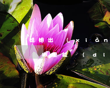 婚姻出現(xiàn)問(wèn)題怎么辦哪里能調(diào)解(婚姻出現(xiàn)問(wèn)題怎么解決怎么辦?)
