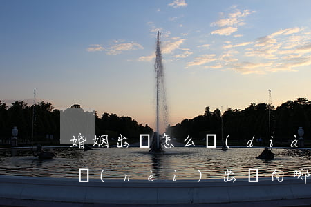 婚姻出軌怎么調(diào)查律師(律師婚內(nèi)出軌向哪兒投訴)