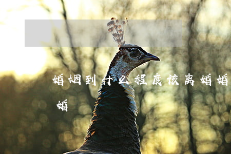 婚姻到什么程度该离婚(婚姻到什么程度该离婚)
