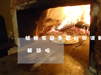 婚姻家庭矛盾纠纷调解(婚姻家庭矛盾纠纷调解简报)