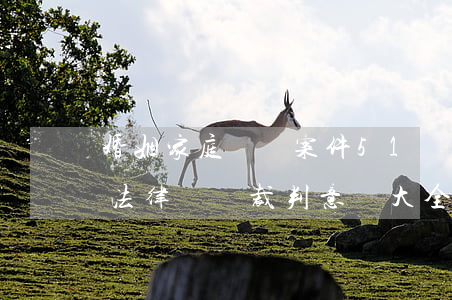 婚姻家庭糾紛案件51個相關(guān)法律問題裁判意見大全！