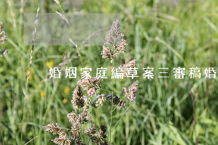 婚姻家庭編草案三審稿：婚前病史要坦白嗎