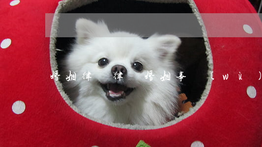 婚姻律師律師(婚姻事務(wù)律師所)