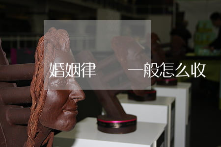 婚姻律師費一般怎么收費(婚姻律師訴訟費收費標準)