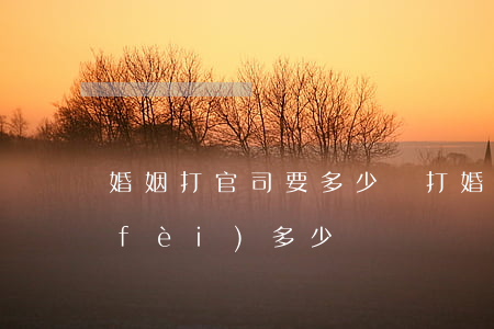 婚姻打官司要多少錢(打婚姻官司的律師費(fèi)多少錢)