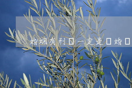 婚姻有刑傷一定是離婚嗎(犯離婚是會離婚嗎)