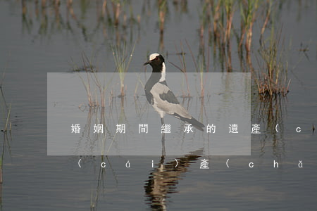 婚姻期間繼承的遺產(chǎn)是共同財(cái)產(chǎn)嗎(婚姻存續(xù)期間繼承的遺產(chǎn)是婚內(nèi)共同財(cái)產(chǎn)嗎)