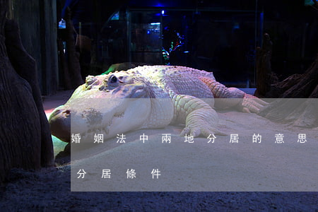 婚姻法中兩地分居的意思是怎樣說明的（法定分居條件）