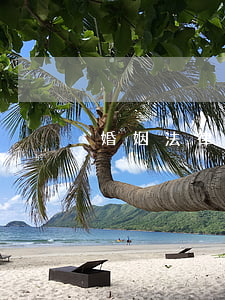 婚姻法律師所(法律婚姻咨詢律師在線)