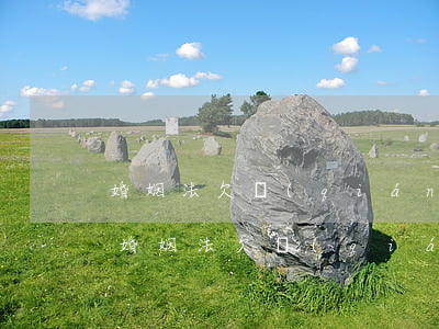 婚姻法欠錢(qián)無(wú)力償還(婚姻法欠錢(qián)無(wú)力償還)