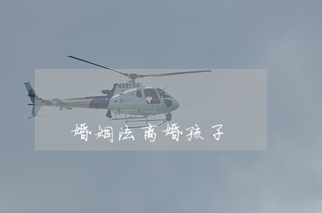 婚姻法 离婚 孩子