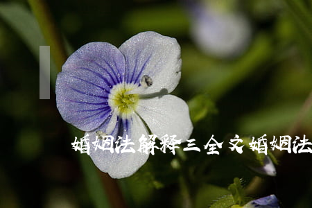 婚姻法解释三全文(婚姻法解释三全文)