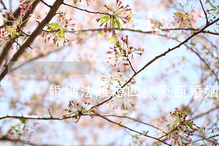 婚姻法離婚四樣東西(婚姻法離婚法)