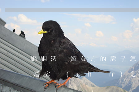 婚姻法離婚女方的房子怎么分配(女方提出離婚房產(chǎn)怎么分配)