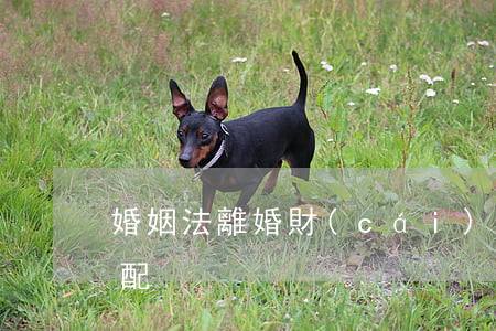 婚姻法離婚財(cái)產(chǎn)分配
