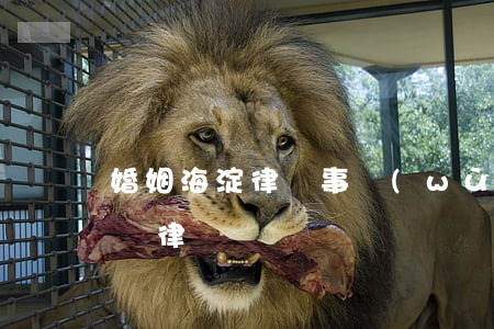 婚姻海淀律師事務(wù)所(北京市婚姻咨詢律師)