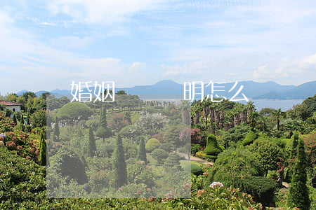 婚姻狀況證明怎么開