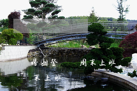 婚姻登記處周末上班嗎，青島市婚姻登記處周末上班嗎