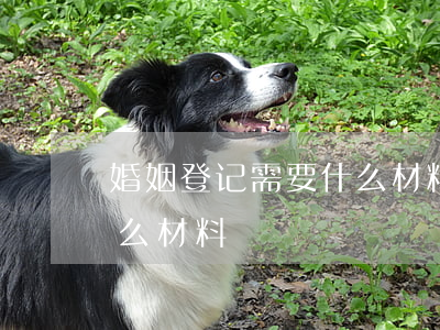 婚姻登记需要什么材料(异地婚姻登记需要什么材料)