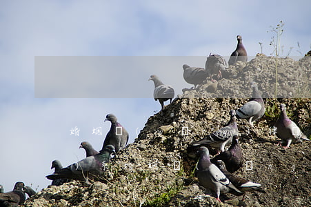婚姻網(wǎng)律師怎么聯(lián)系(婚姻網(wǎng)律師怎么聯(lián)系)
