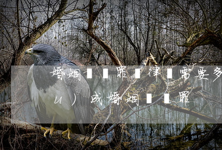 婚姻詐騙罪請律師需要多少錢(怎樣構(gòu)成婚姻詐騙罪)